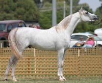 Miraak at the 2004 Feature Show