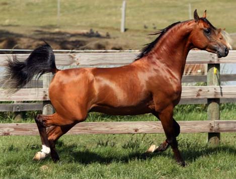 Azteq in November 2008