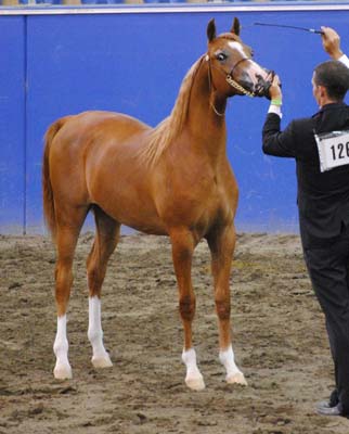 Emphatik at the East Coast