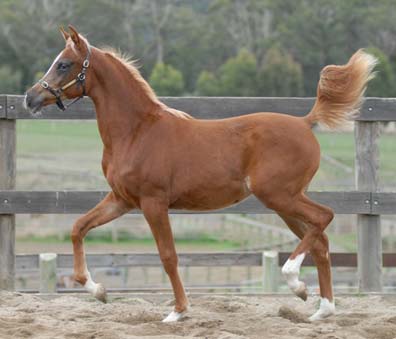 Valentia in May 2009