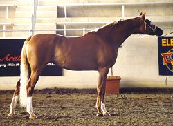 Marieshaah at East Coast - click to see enlarged