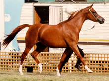 Salida - click to see enlarged